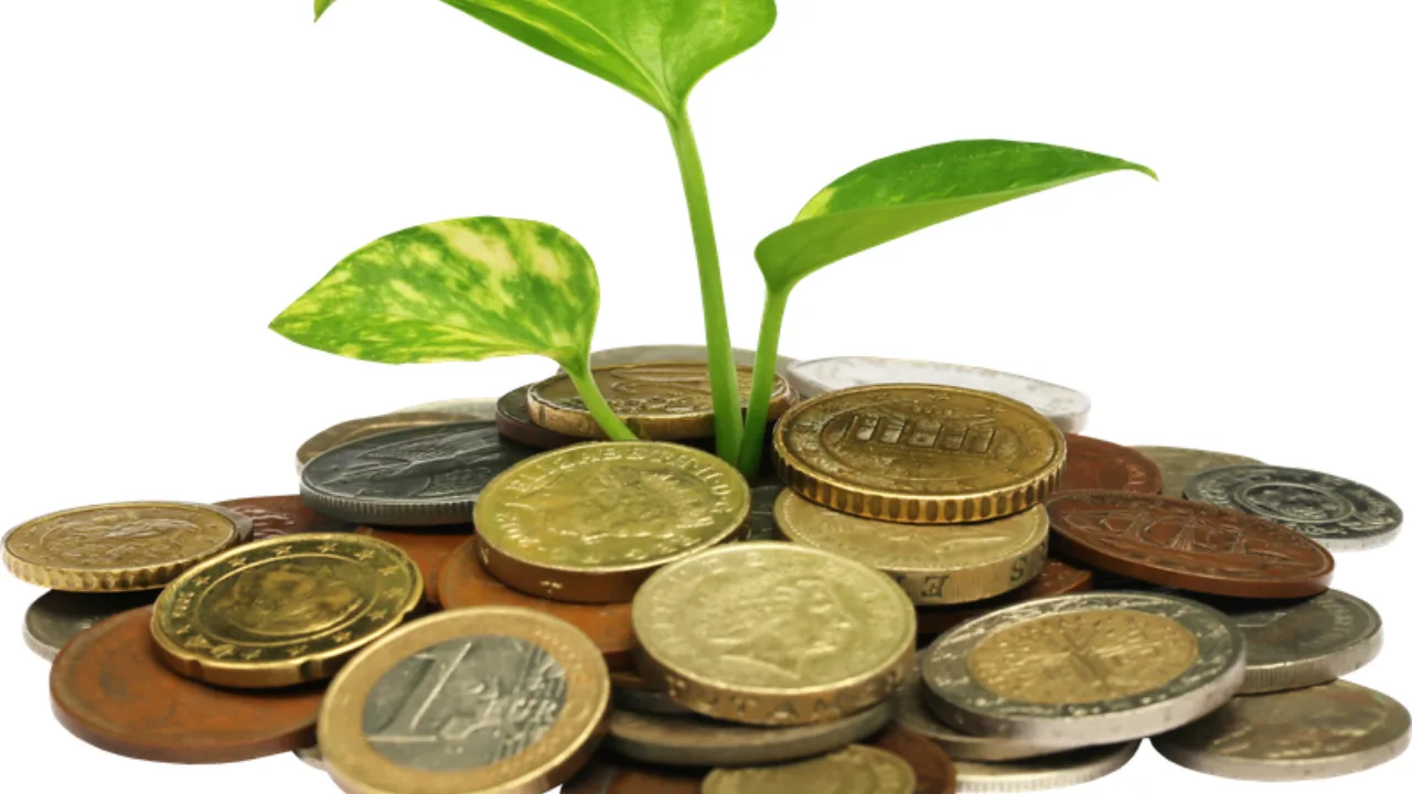 Monedas con una planta creciendo que representa reinvertir y hacer crecer tus ganancias de un negocio online rentable